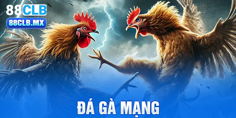 Đá gà mạng