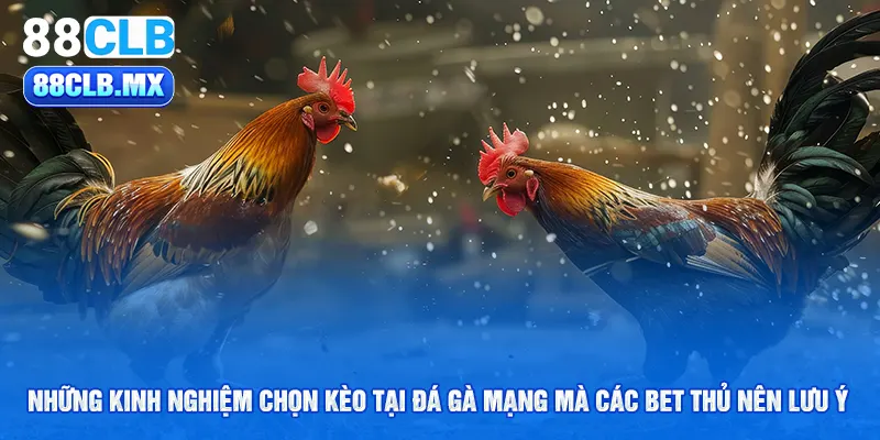 Những kinh nghiệm chọn kèo tại đá gà mạng mà các bet thủ nên lưu ý 