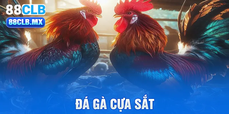 đá gà cựa sắt