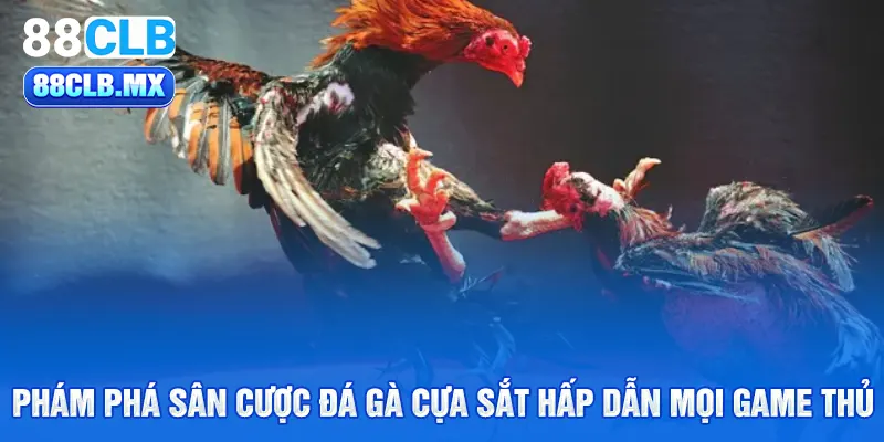 Khám phá sân cược đá gà cựa sắt hấp dẫn mọi game thủ